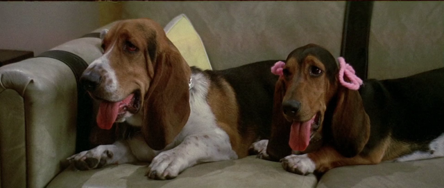 Smokey.And.The.Bandit.3.1983.1080p.BluRay.H264.AC3.DD2.0 (1983) [10637] (A1755383066) [[Movies]] --Plex--